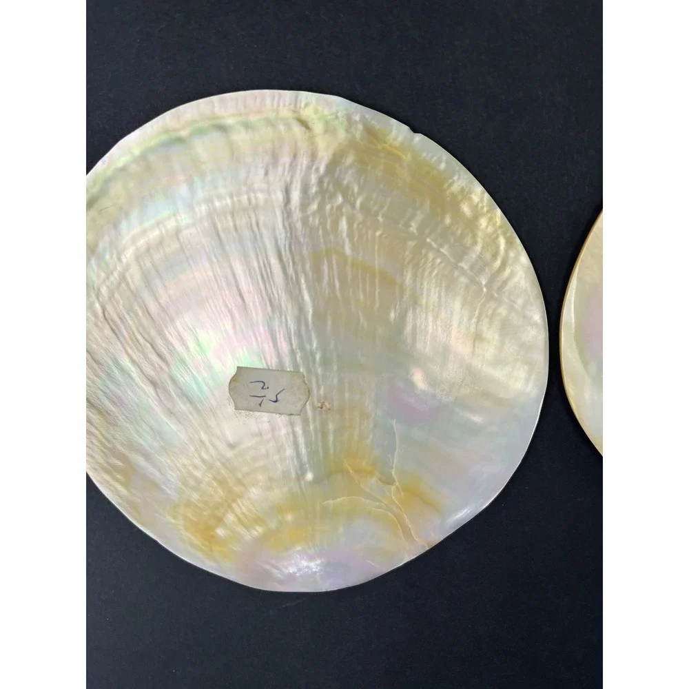 2 x Genuine Mother Of Pearl Sea Shell Caviar Dish Appetizer Plate 5.5